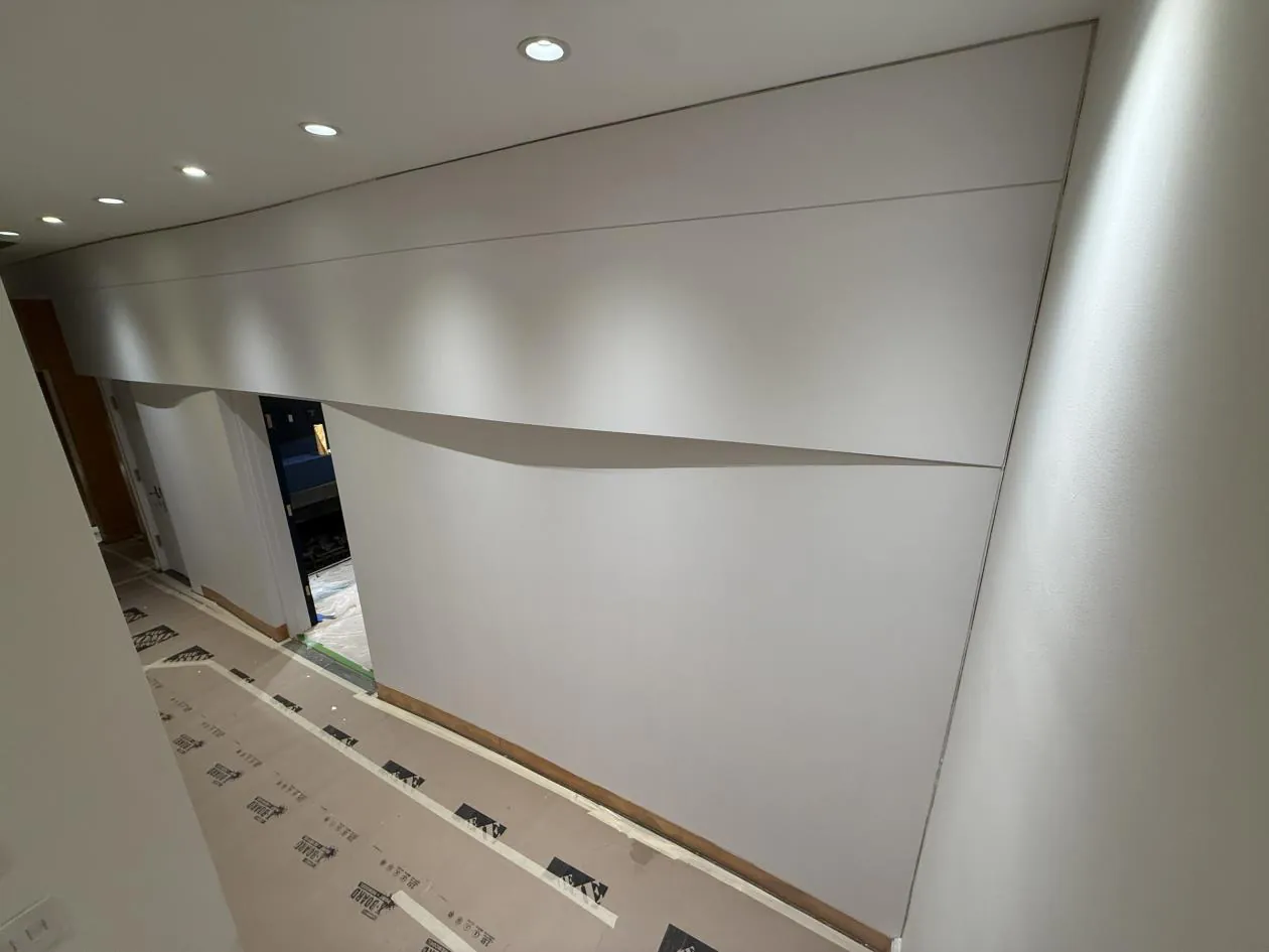 Washington Project after